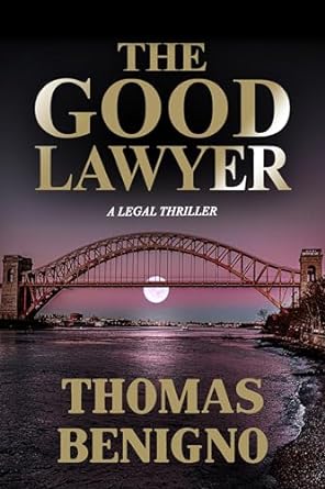 The Good Lawyer