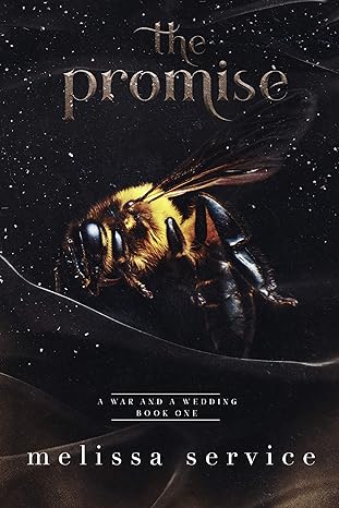 The Promise: A War and A Wedding Book 1