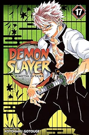 Demon Slayer: Kimetsu no Yaiba, Vol. 17: Successors