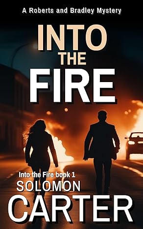 Into the Fire: A Gripping Private Investigator Crime Thriller